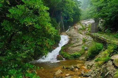 救援水管工